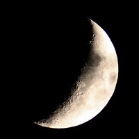 mond1