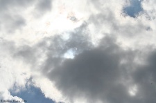sofi06 048