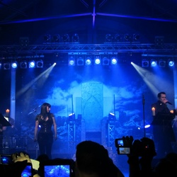 Konzerte und Festivals