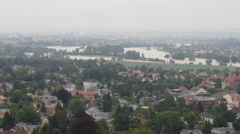 IMG 7703