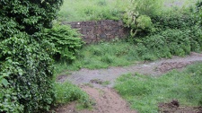 Natur Fotos
