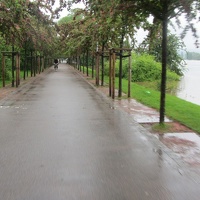 IMG 7756