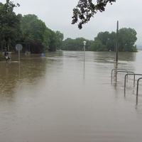 IMG 7757