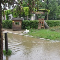 IMG 7758