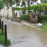 IMG 7759