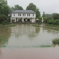 IMG 7762