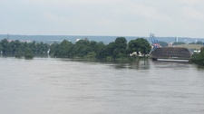 IMG 7960