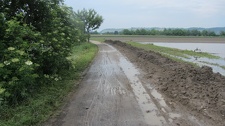 IMG 7969