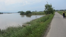 IMG 7971