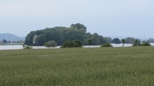 IMG 7972