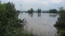 IMG 7976