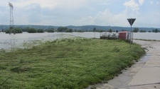 IMG 7977