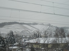 IMG 0132