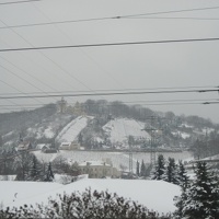 IMG 0133
