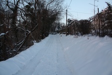 IMG 9742