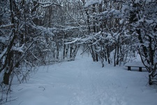 IMG 9748