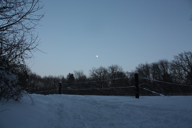 IMG_9750.JPG