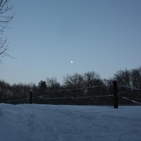 IMG 9750