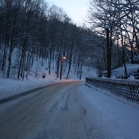 IMG 9790