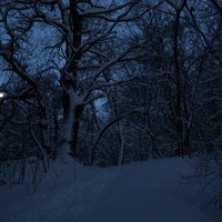 IMG 9795
