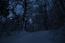 IMG 9795
