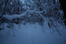 IMG 9796