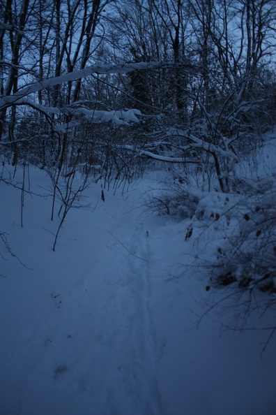 IMG_9799.JPG