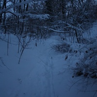IMG 9799