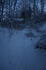 IMG 9799
