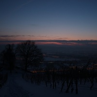 IMG 9814