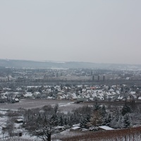 IMG 0159
