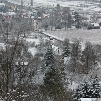 IMG 0168