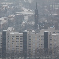 IMG 0174