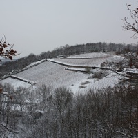 IMG 0179