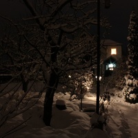 IMG 4568