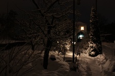 IMG 4568