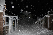 IMG 4574