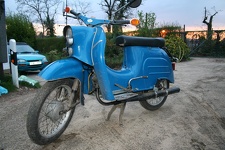 Schwalbe