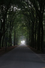 irland0007-IMG 2362