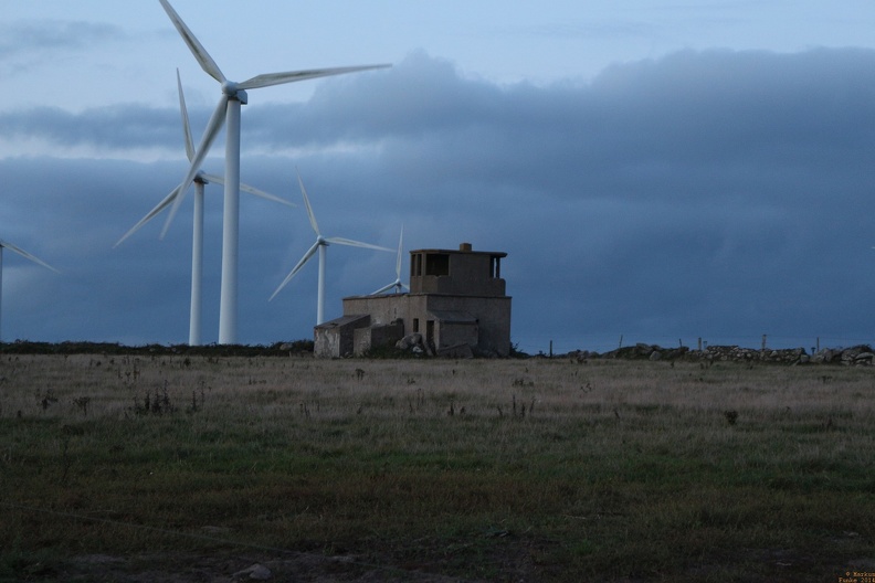 irland1441-IMG 3670
