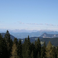 img 0209