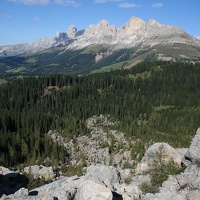 img 0211