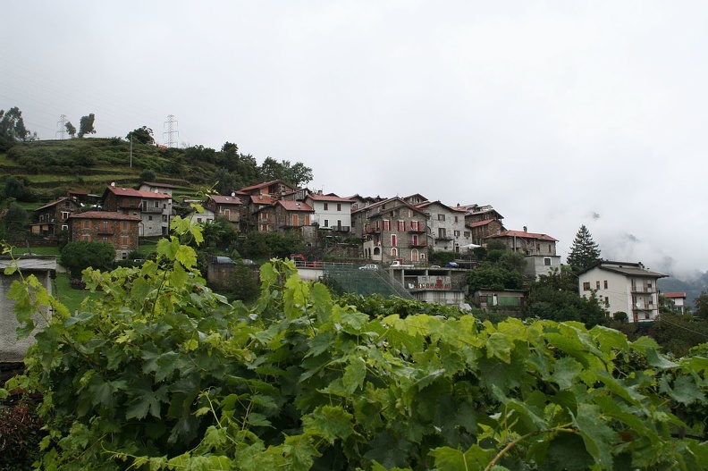 img 9931