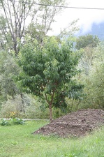 img 9936