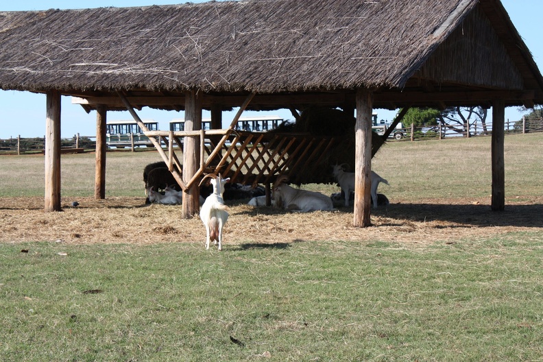 IMG_8508.JPG