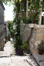 IMG_7087.JPG
