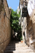IMG_7090.JPG