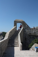 IMG_7110.JPG