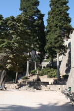 IMG_7209.JPG