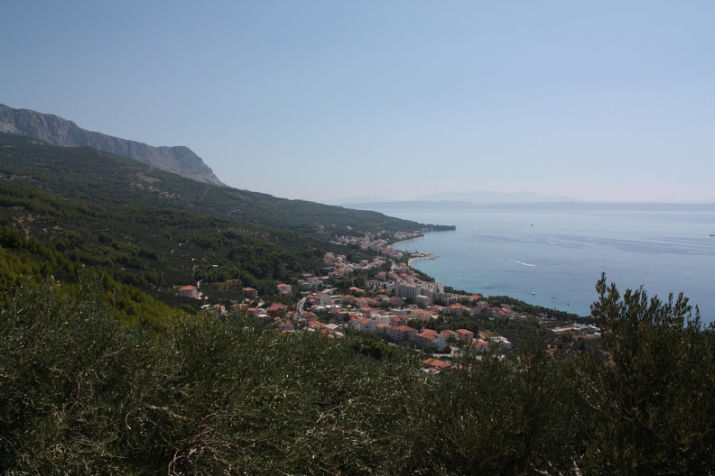 IMG_7342.JPG